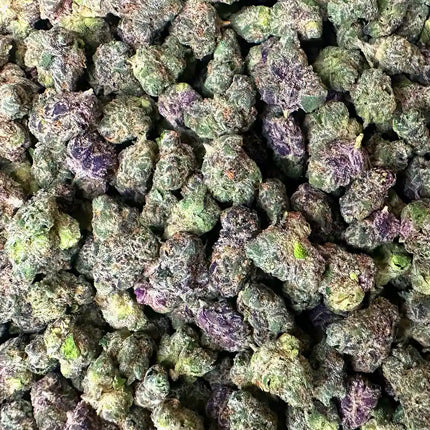 1/8 HVGC - Blue Nerdz - Hybrid