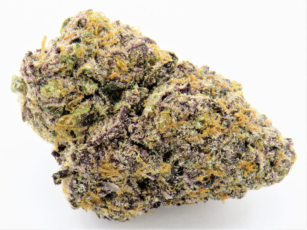 1/8 HVGC - Blue Nerdz - Hybrid