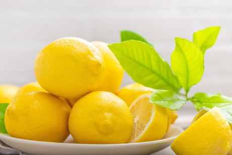 Demand Surges for Lemon CBD Oil Tincture