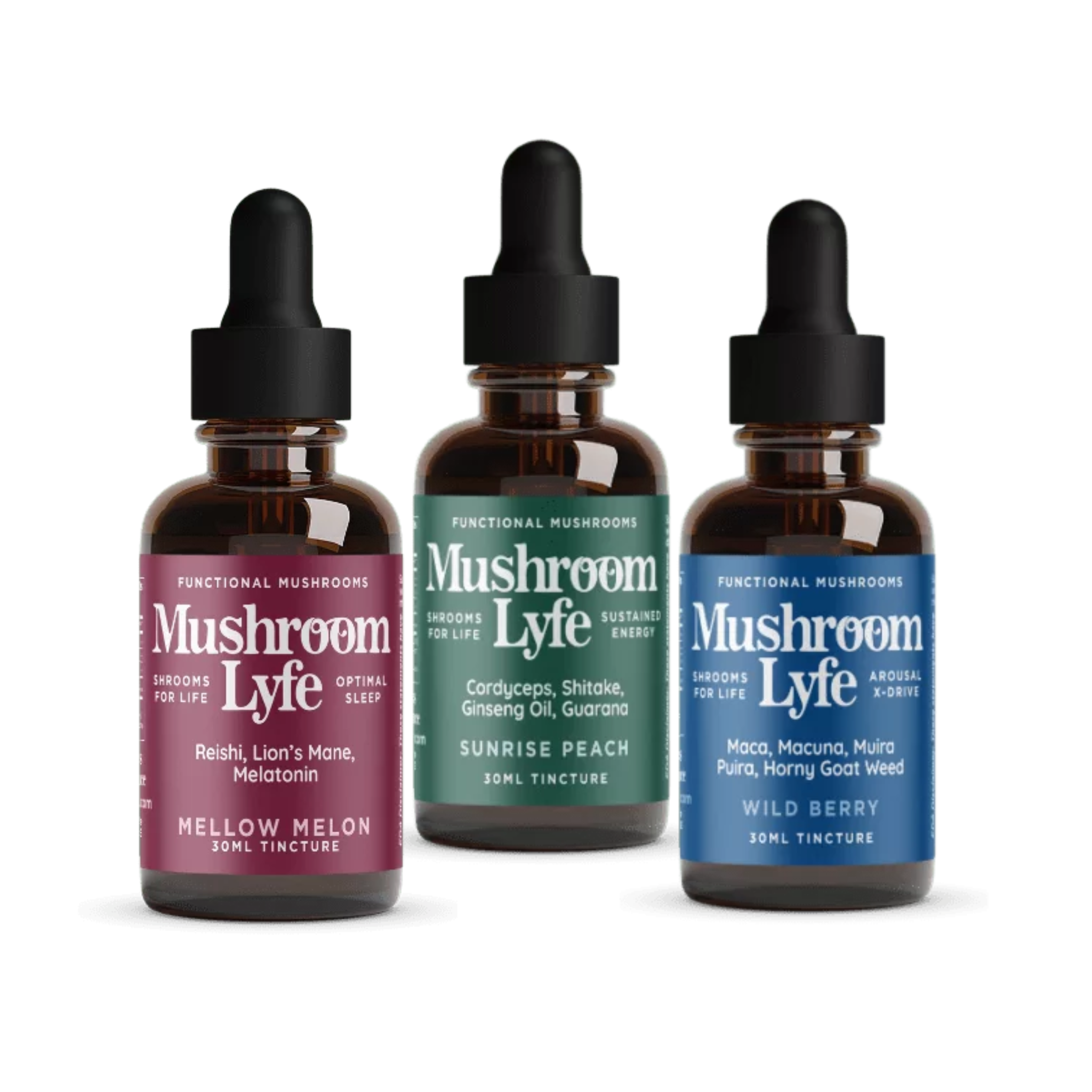 Mushroom Lyfe Tincture Bundle – Smilyn Wellness